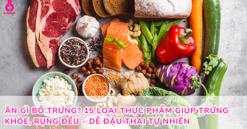 Ăn gì bổ trứng? 15 Loại thực phẩm giúp trứng khỏe, rụng đều – Dễ đậu thai tự nhiên
