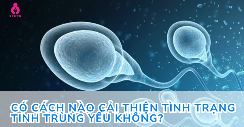 Góc giải đáp: Có cách nào cải thiện tình trạng tinh trùng yếu không?