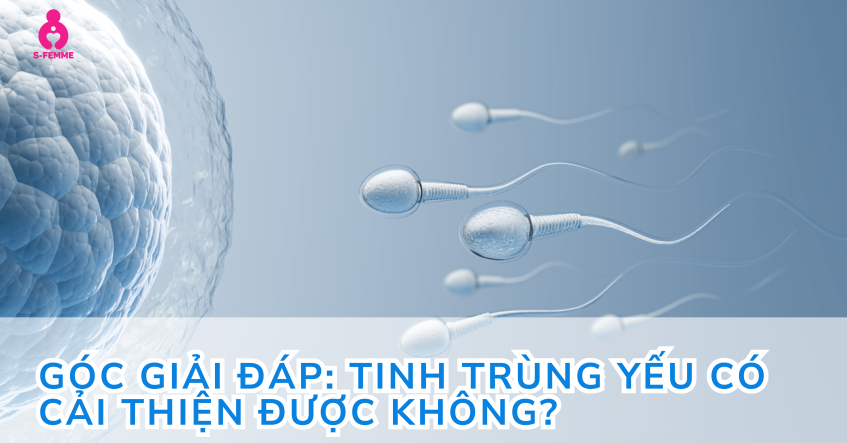Góc giải đáp: Tinh trùng yếu có cải thiện được không?