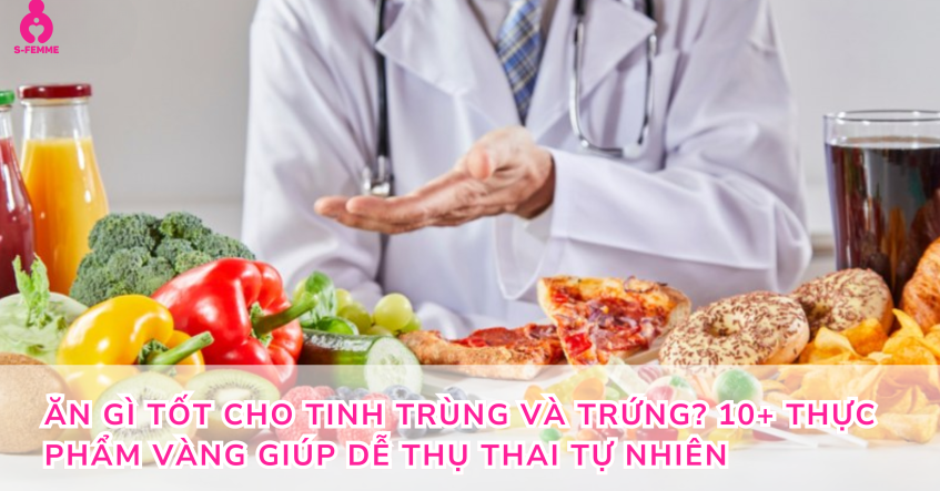 Ăn gì tốt cho tinh trùng và trứng? 10+ thực phẩm vàng giúp dễ thụ thai tự nhiên