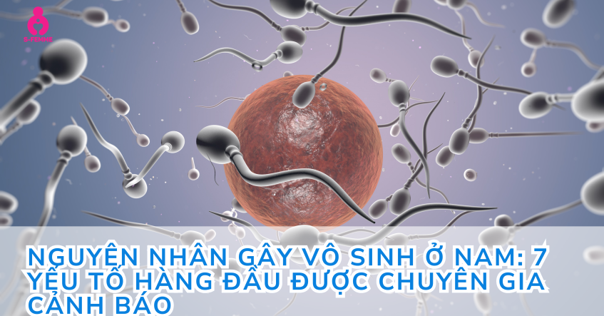 Nguyên nhân gây vô sinh ở nam: 7 yếu tố hàng đầu được chuyên gia cảnh báo