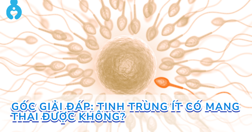 Góc giải đáp: Tinh trùng ít có mang thai được không?