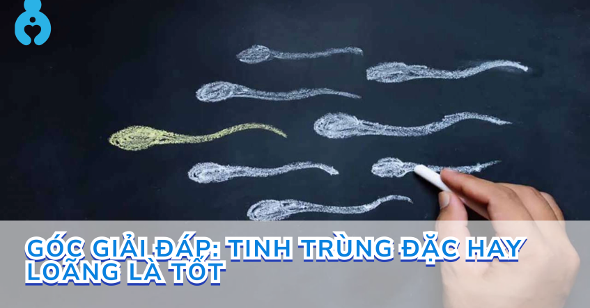 GÓC GIẢI ĐÁP: TINH TRÙNG ĐẶC HAY LOÃNG LÀ TỐT