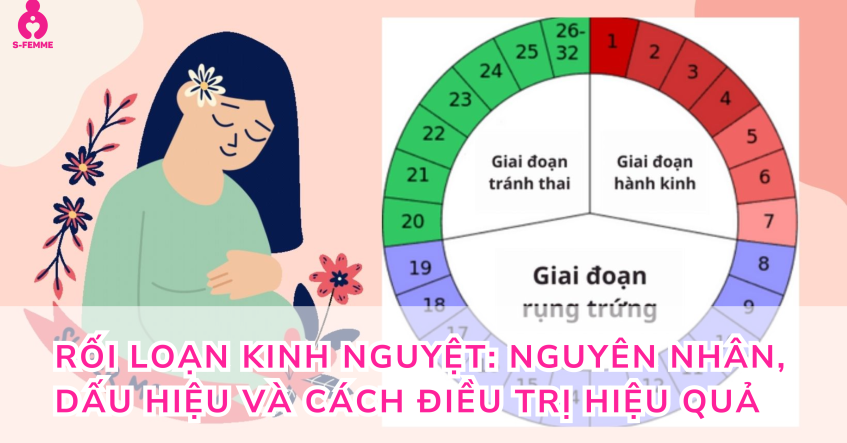 Bảng tính ngày rụng trứng: Cách theo dõi chu kỳ và tăng cơ hội thụ thai