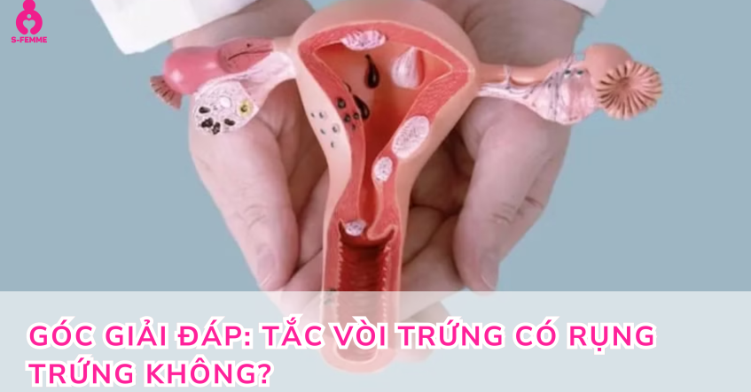 Góc giải đáp: Tắc vòi trứng có rụng trứng không?