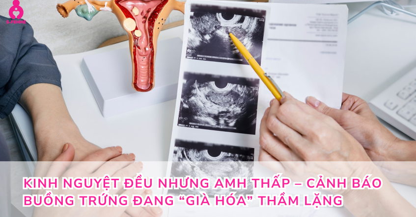Kinh nguyệt đều nhưng AMH thấp – Cảnh báo buồng trứng đang “già hóa” thầm lặng
