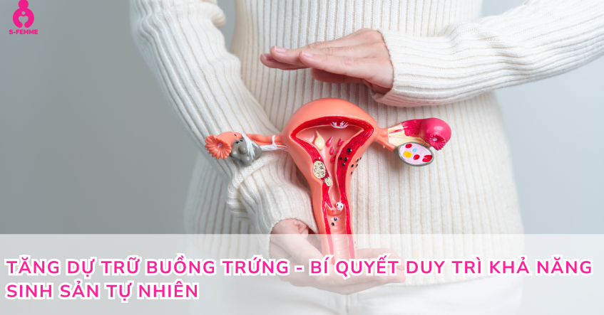 Tăng dự trữ buồng trứng - Bí quyết duy trì khả năng sinh sản tự nhiên