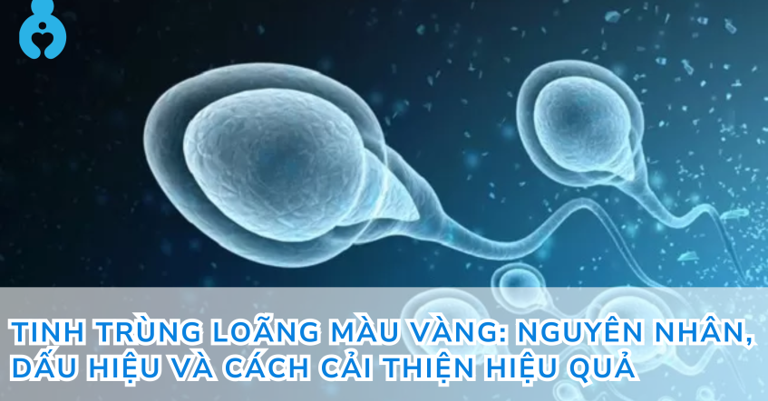 Tinh trùng loãng màu vàng: Nguyên nhân, dấu hiệu và cách cải thiện hiệu quả