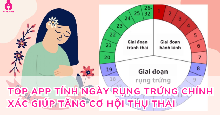 Top app tính ngày rụng trứng chính xác giúp tăng cơ hội thụ thai