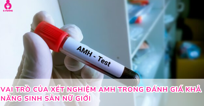 Vai trò của xét nghiệm AMH trong đánh giá khả năng sinh sản nữ giới