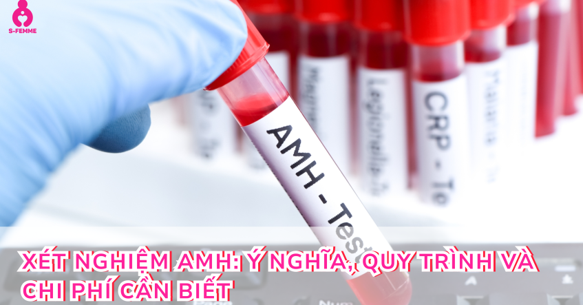Xét nghiệm AMH: Ý nghĩa, quy trình và chi phí cần biết