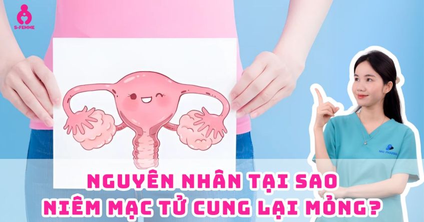 Dược sĩ Phương: Nguyên nhân tại sao niêm mạc tử cung lại mỏng​?