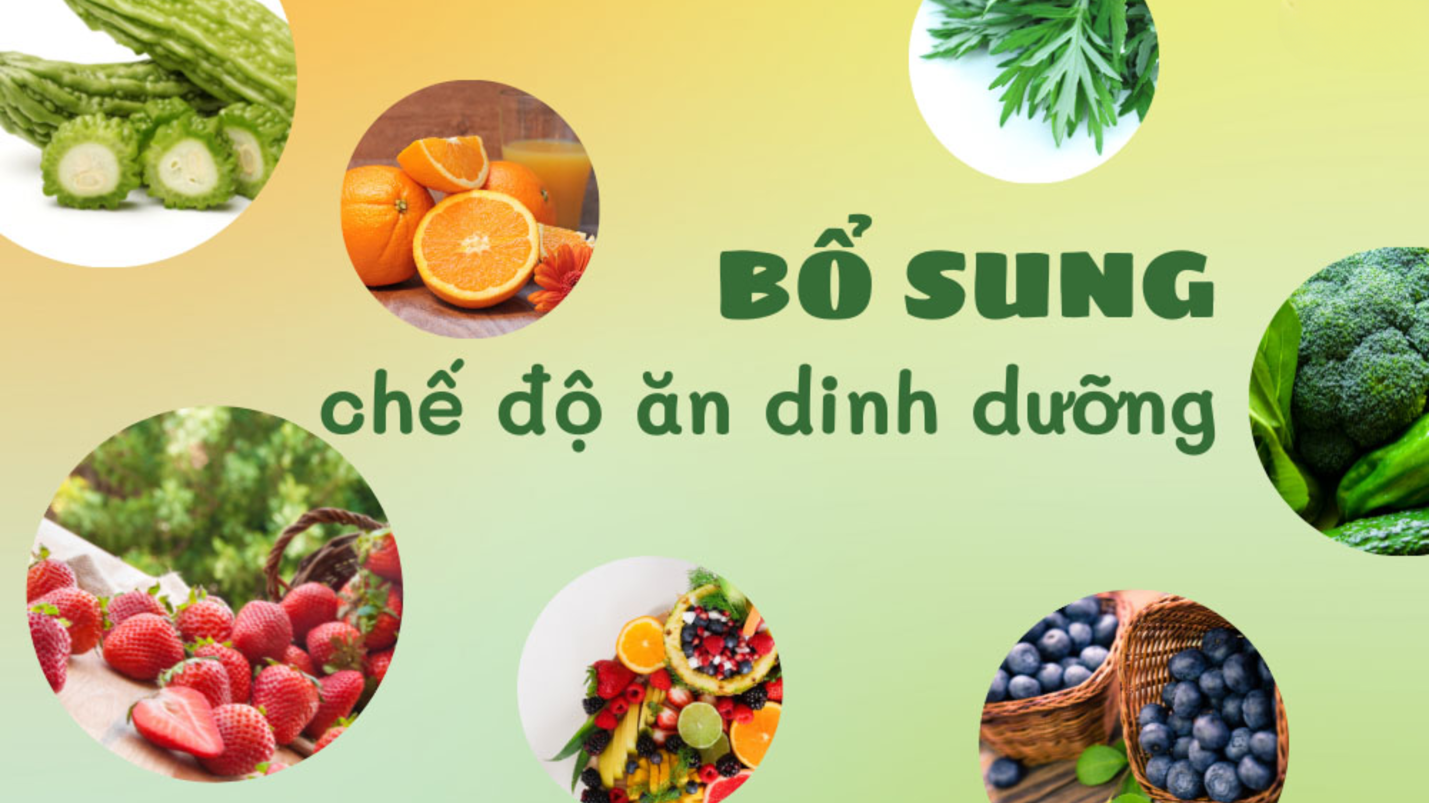 Chế độ ăn uống