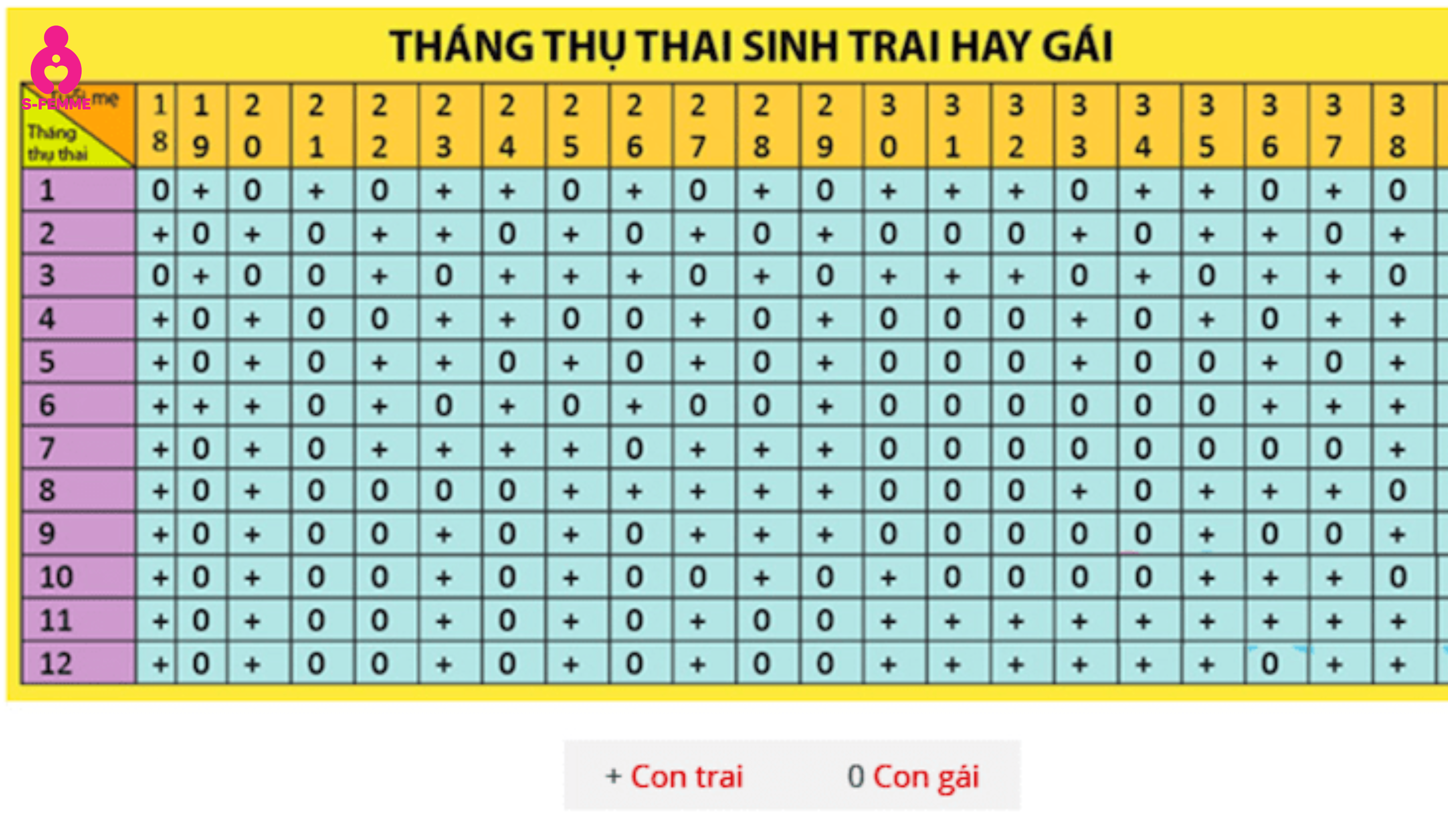 Bảng tính tháng thụ thai là gì