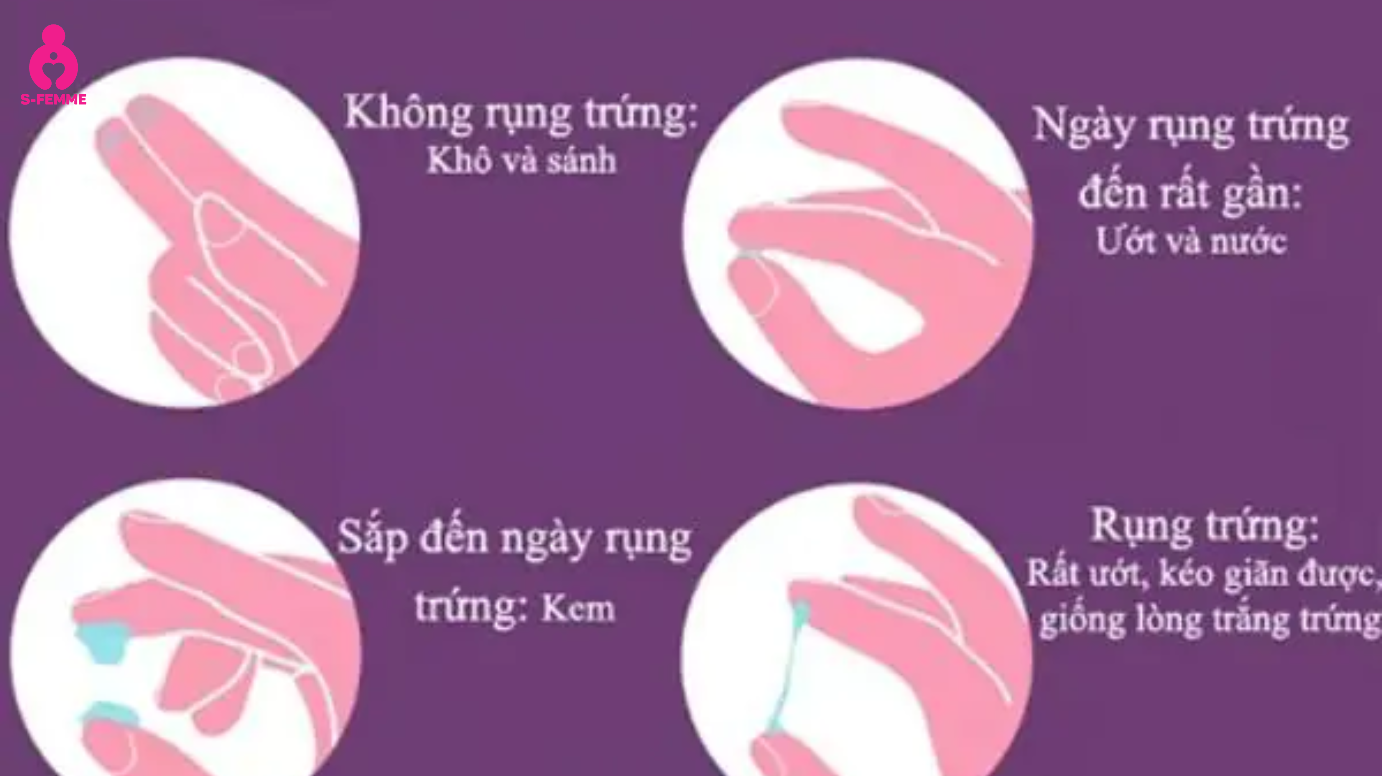 Cách nhận biết ngày rụng trứng chính xác