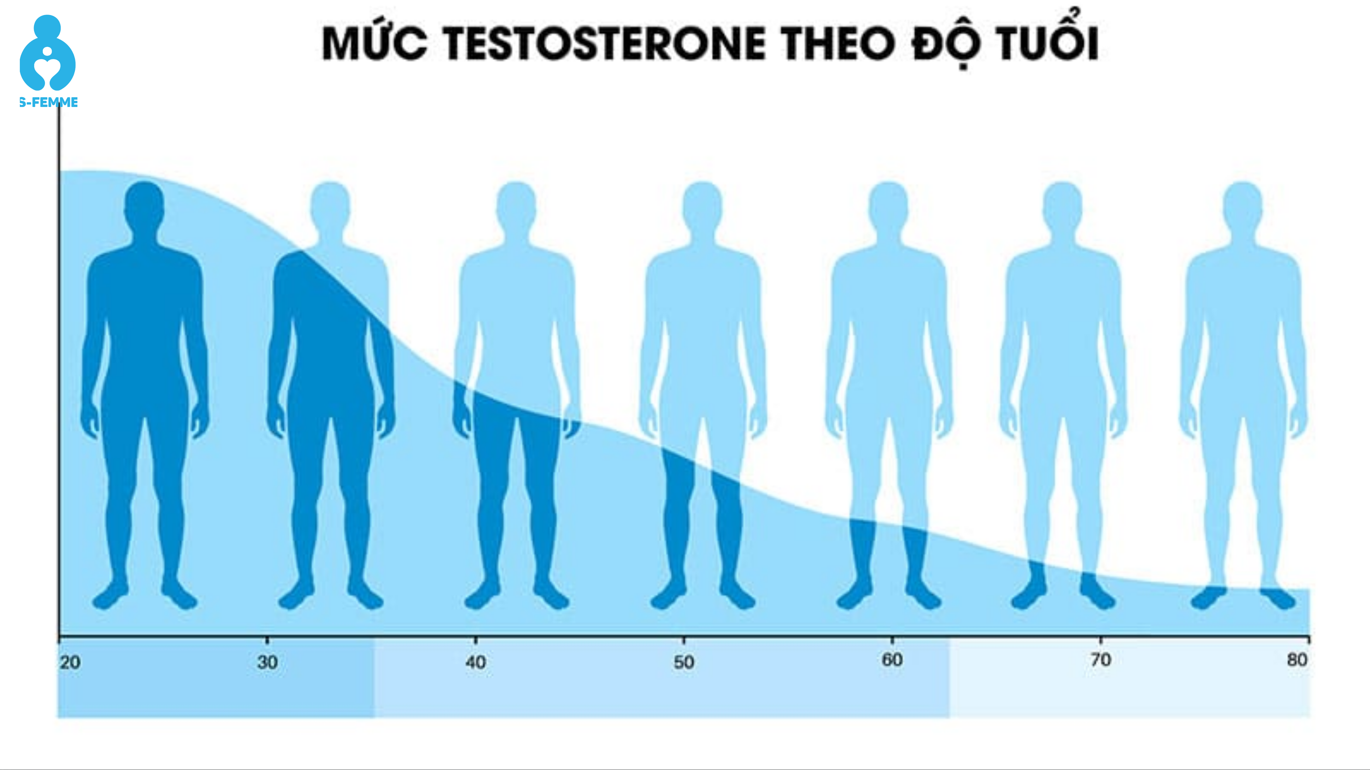Nguyên nhân dẫn đến rụng tóc ở nam giới