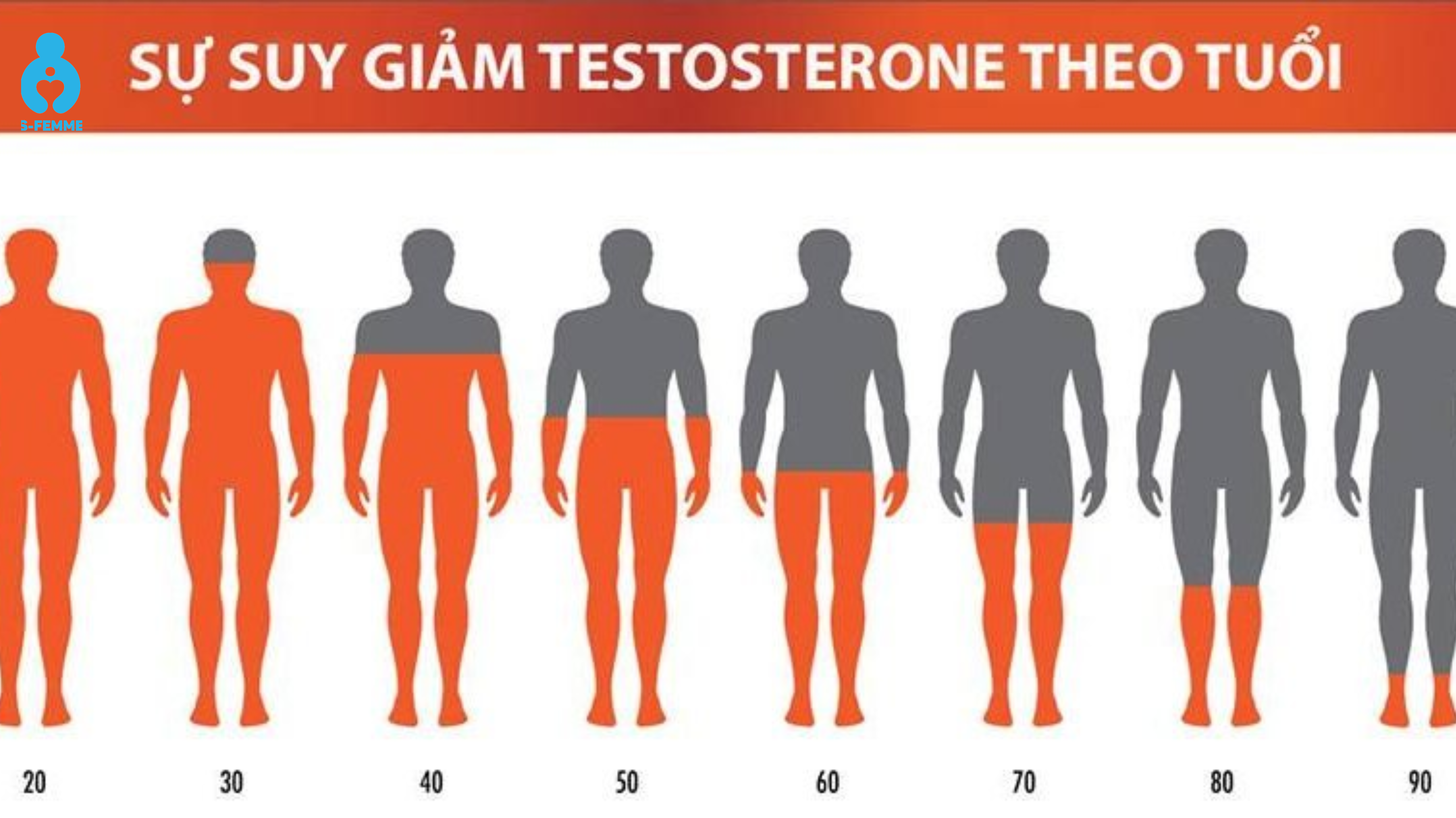 Nguyên nhân khiến testosterone giảm
