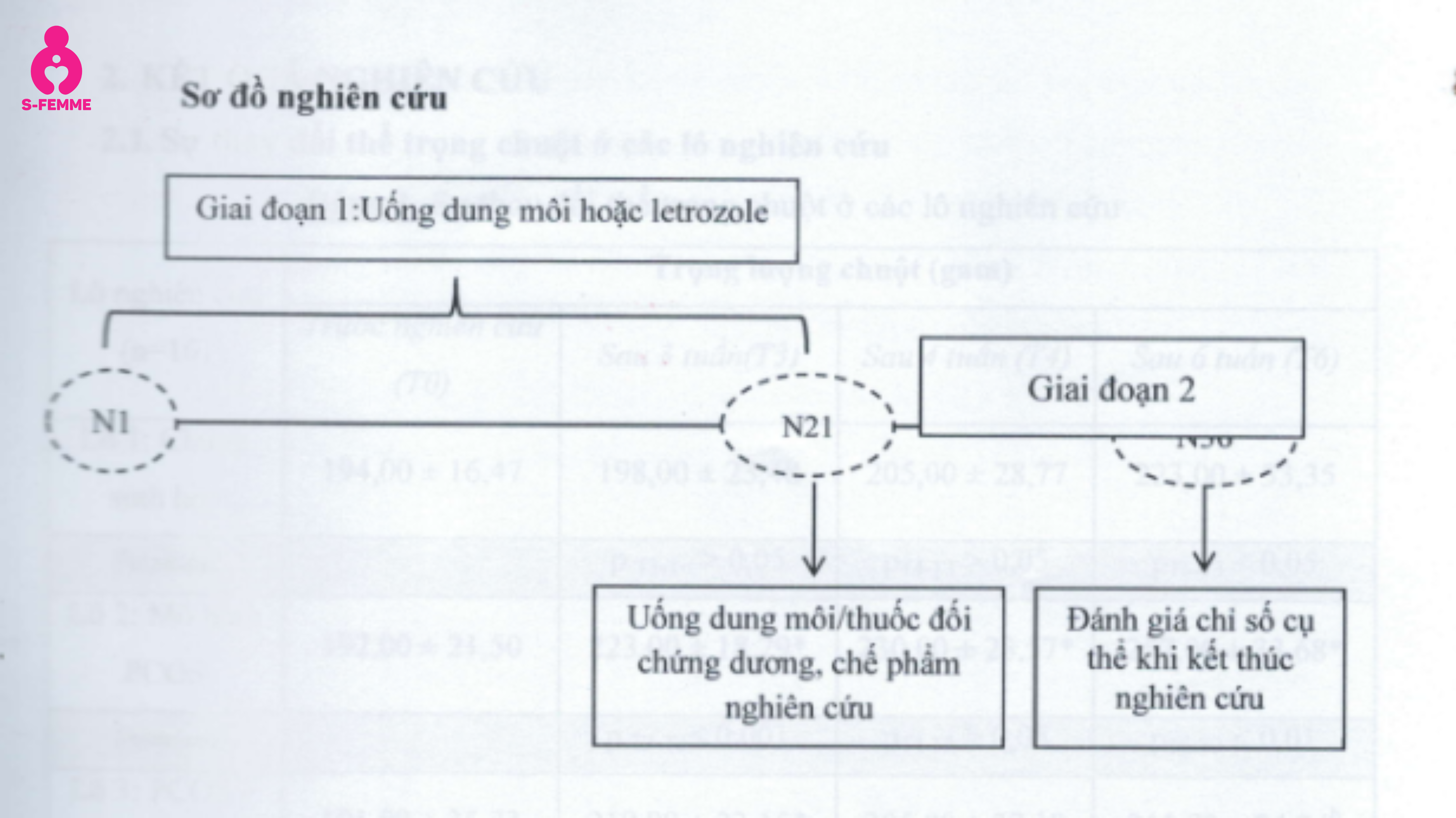 Sơ đồ nghiên cứu PiCOSitol