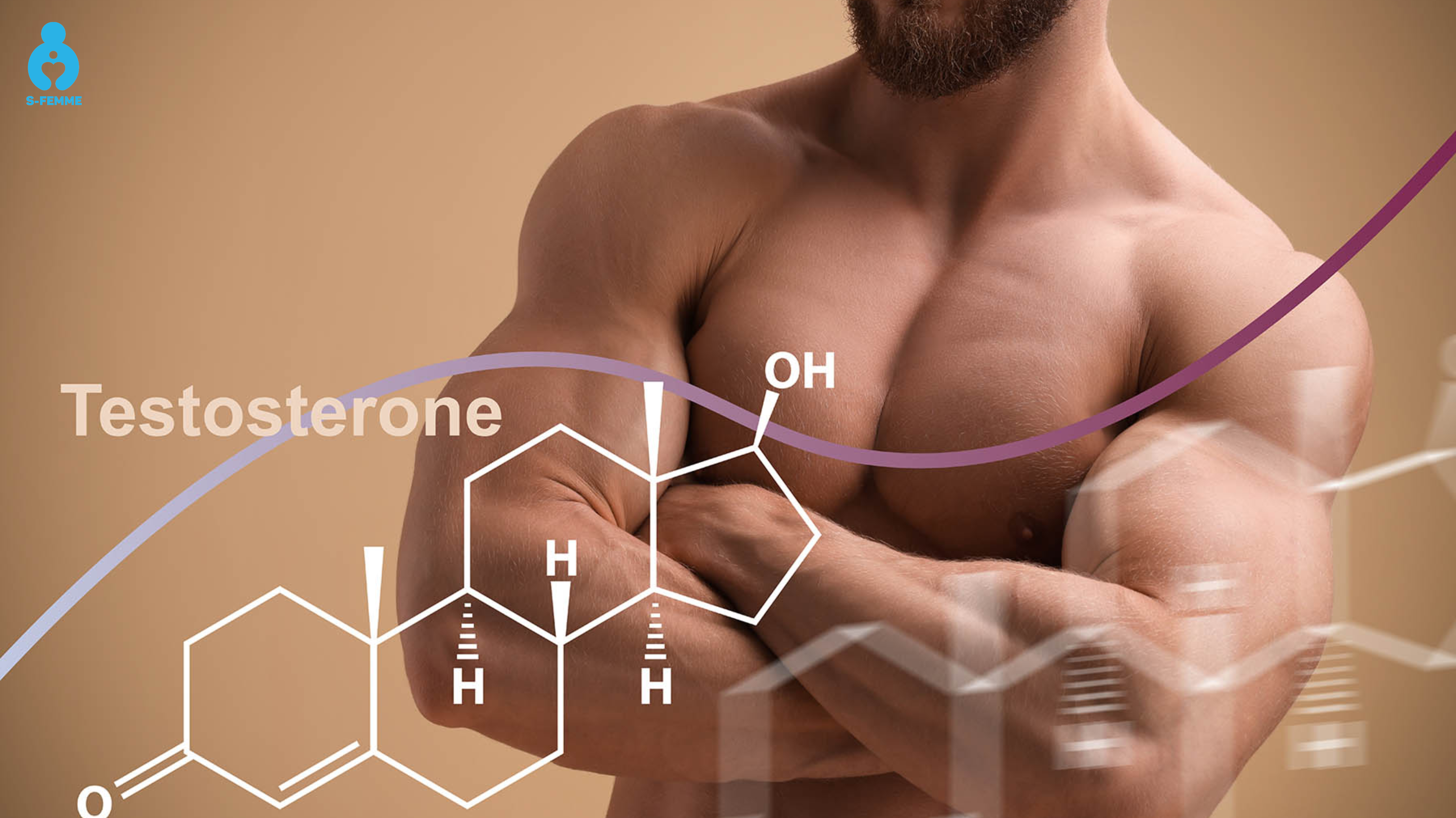 Testosterone là gì và liên quan thế nào đến tóc