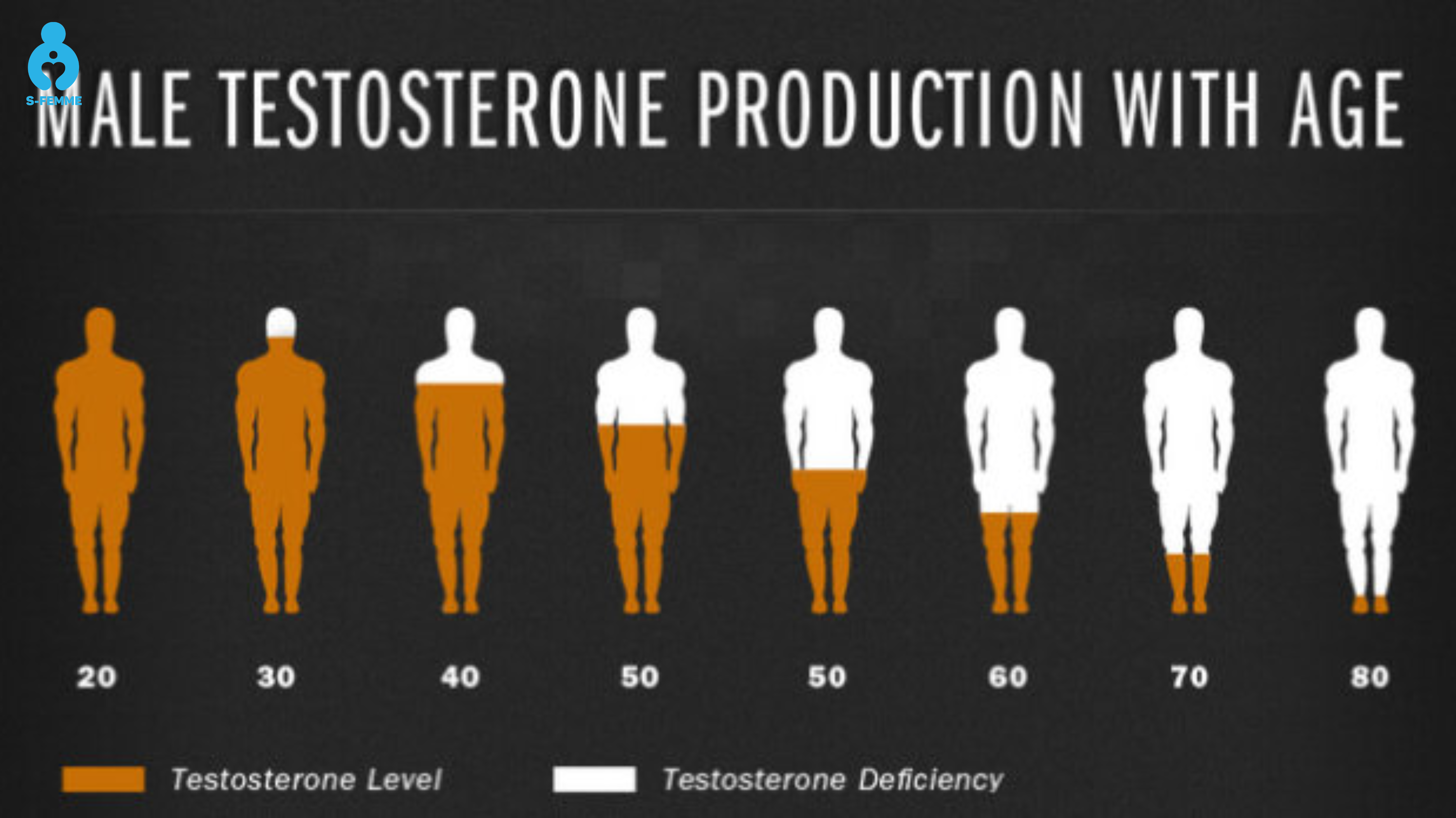 Testosterone suy giảm diễn ra như thế nào theo thời gian