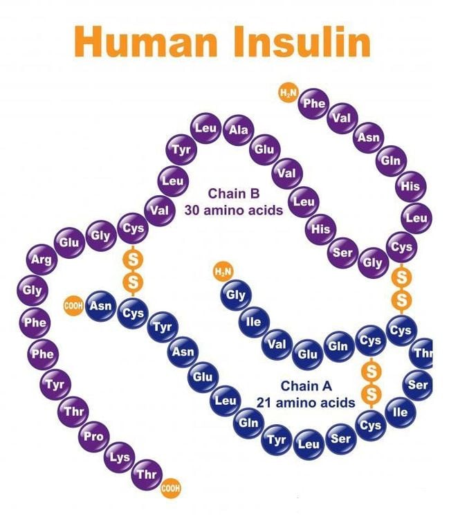 medium_20190502_032209_629647_hormon_insulin_max_1800x1800_jpg_869ae4817b