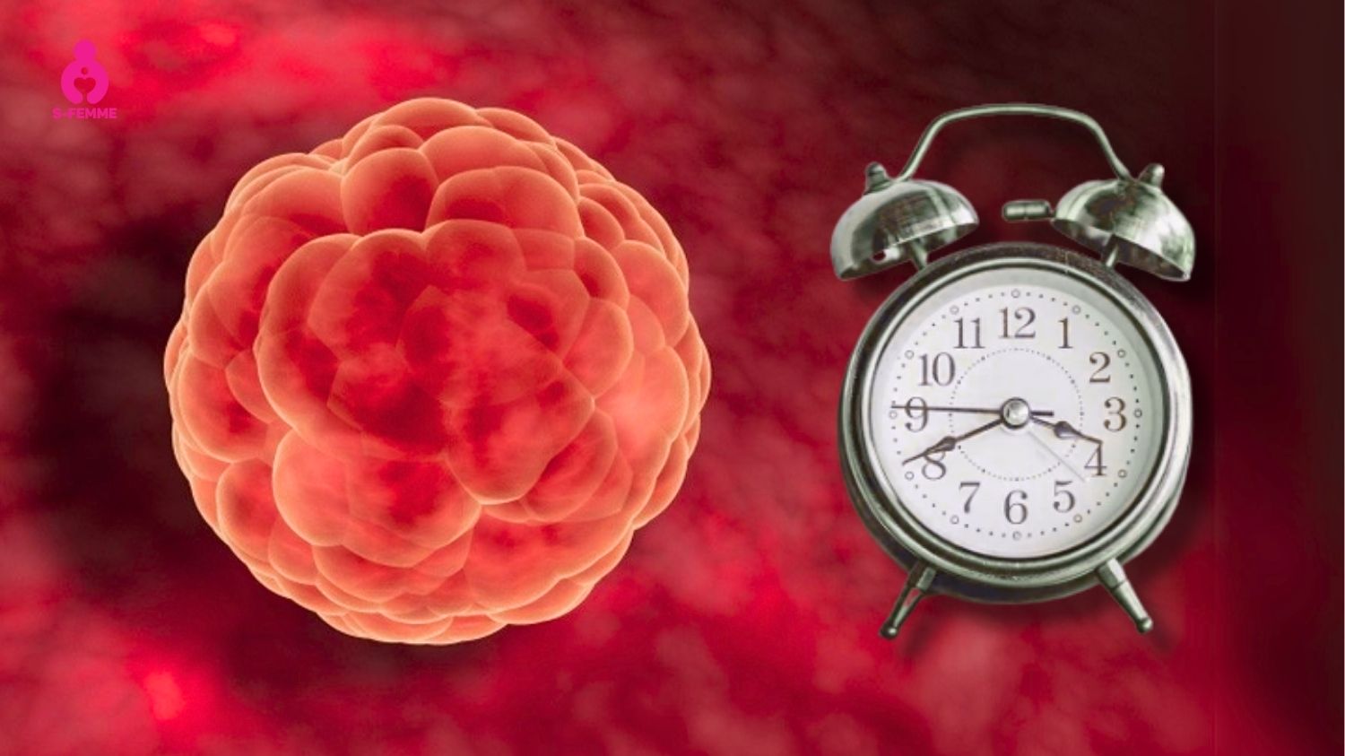 Thời điểm dưỡng trứng chuẩn bị IVF lý tưởng là khoảng trước 3 tháng