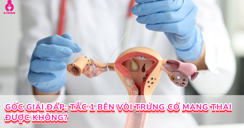 Góc giải đáp: Tắc 1 bên vòi trứng có mang thai được không?