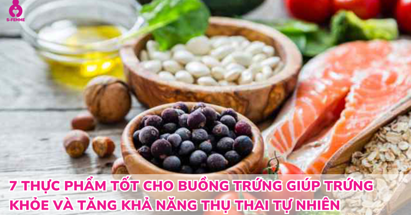 7 thực phẩm tốt cho buồng trứng giúp trứng khỏe và tăng khả năng thụ thai tự nhiên