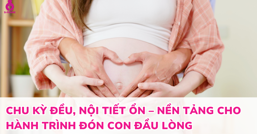  Chu kỳ đều, nội tiết ổn – nền tảng cho hành trình đón con đầu lòng