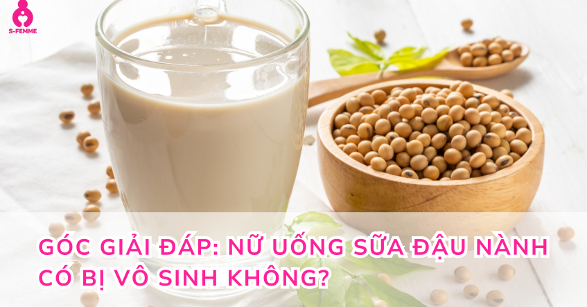 Góc giải đáp: Nữ uống sữa đậu nành có bị vô sinh không?