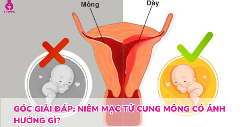 Góc giải đáp: niêm mạc tử cung mỏng có ảnh hưởng gì​?