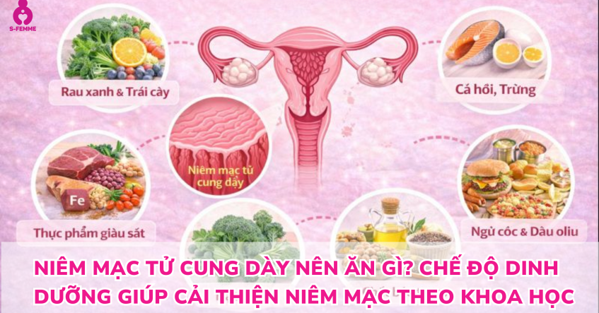 Niêm mạc tử cung dày nên ăn gì? Chế độ dinh dưỡng giúp cải thiện niêm mạc theo khoa học