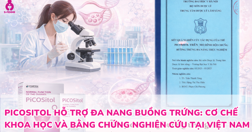 Picositol hỗ trợ đa nang buồng trứng: Cơ chế khoa học và bằng chứng nghiên cứu tại Việt Nam