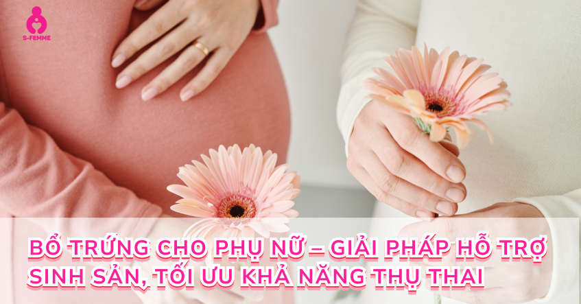 Bổ trứng cho phụ nữ – Giải pháp hỗ trợ sinh sản, tối ưu khả năng thụ thai