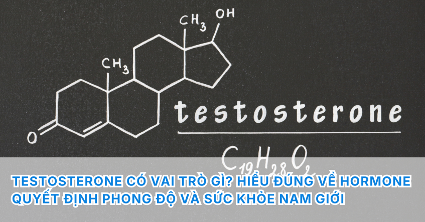 Testosterone có vai trò gì? Hiểu đúng về hormone quyết định phong độ và sức khỏe nam giới