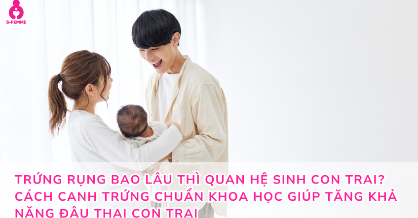 Trứng rụng bao lâu thì quan hệ sinh con trai​? Cách canh trứng chuẩn khoa học giúp tăng khả năng đậu thai con trai