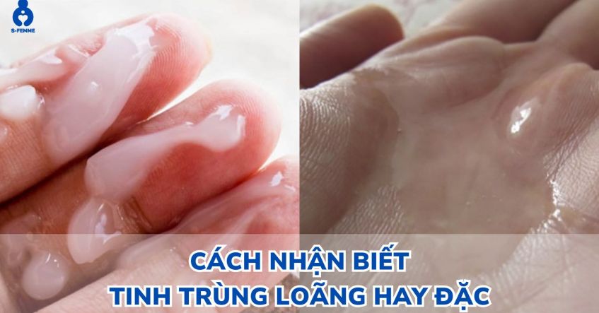 Hướng dẫn cách nhận biết tinh trùng loãng hay đặc​ ở nam giới