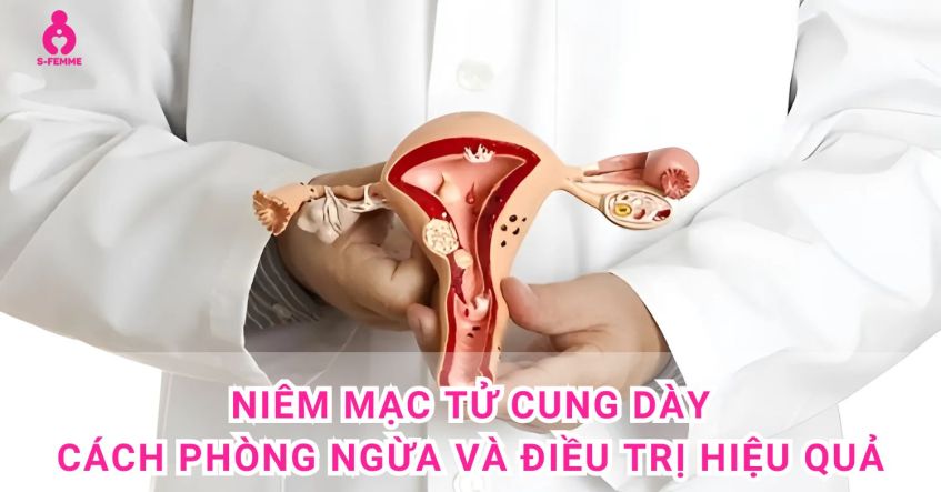 Niêm mạc tử cung dày | Cách phòng ngừa và điều trị hiệu quả
