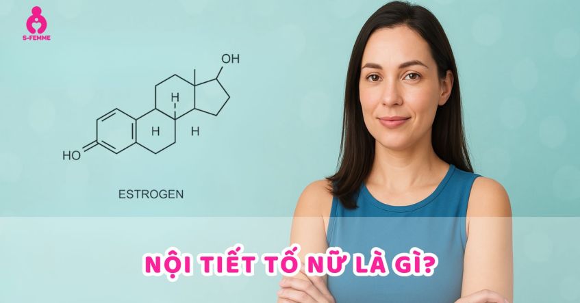 Nội tiết tố nữ là gì? Các loại nội tiết tố nữ quan trọng