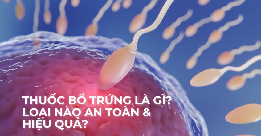 Bổ trứng tăng khả năng thụ thai: Loại nào an toàn và nhanh có hiệu quả?