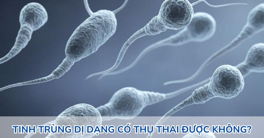 Tinh trùng dị dạng có con được không? Có thụ thai được không?