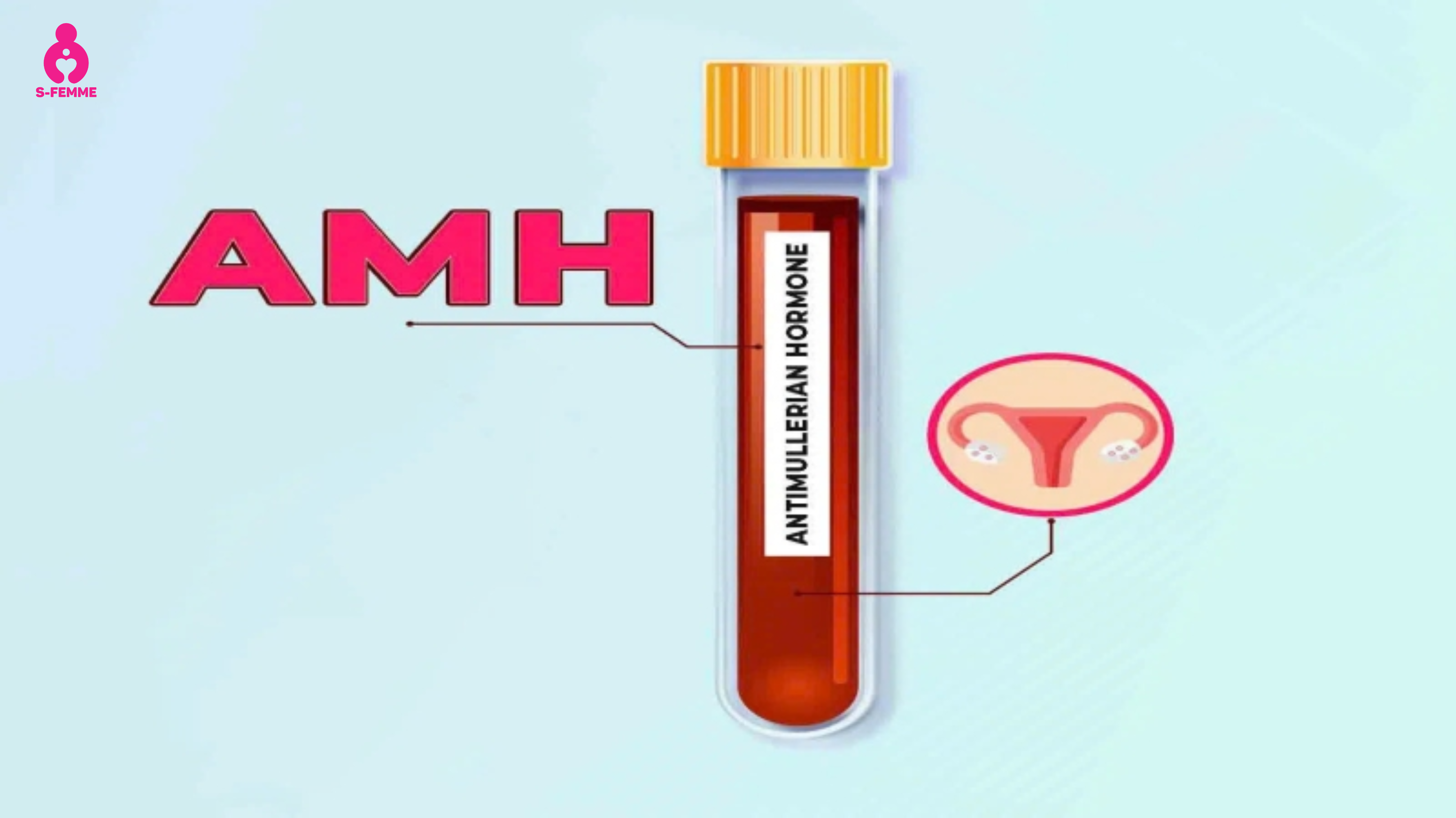 Chỉ số AMH là gì
