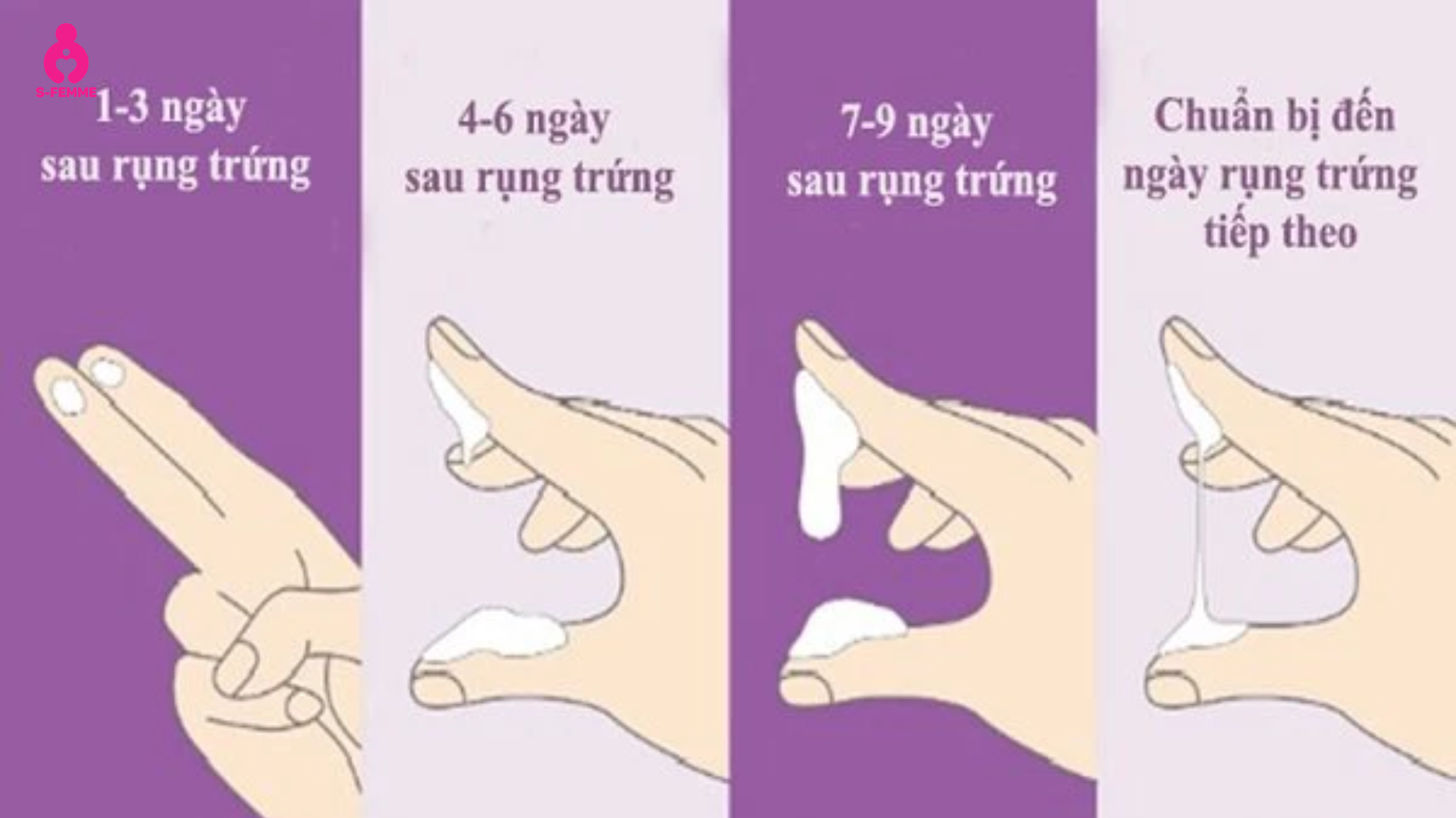 Dấu hiệu nhận biết ngày rụng trứng