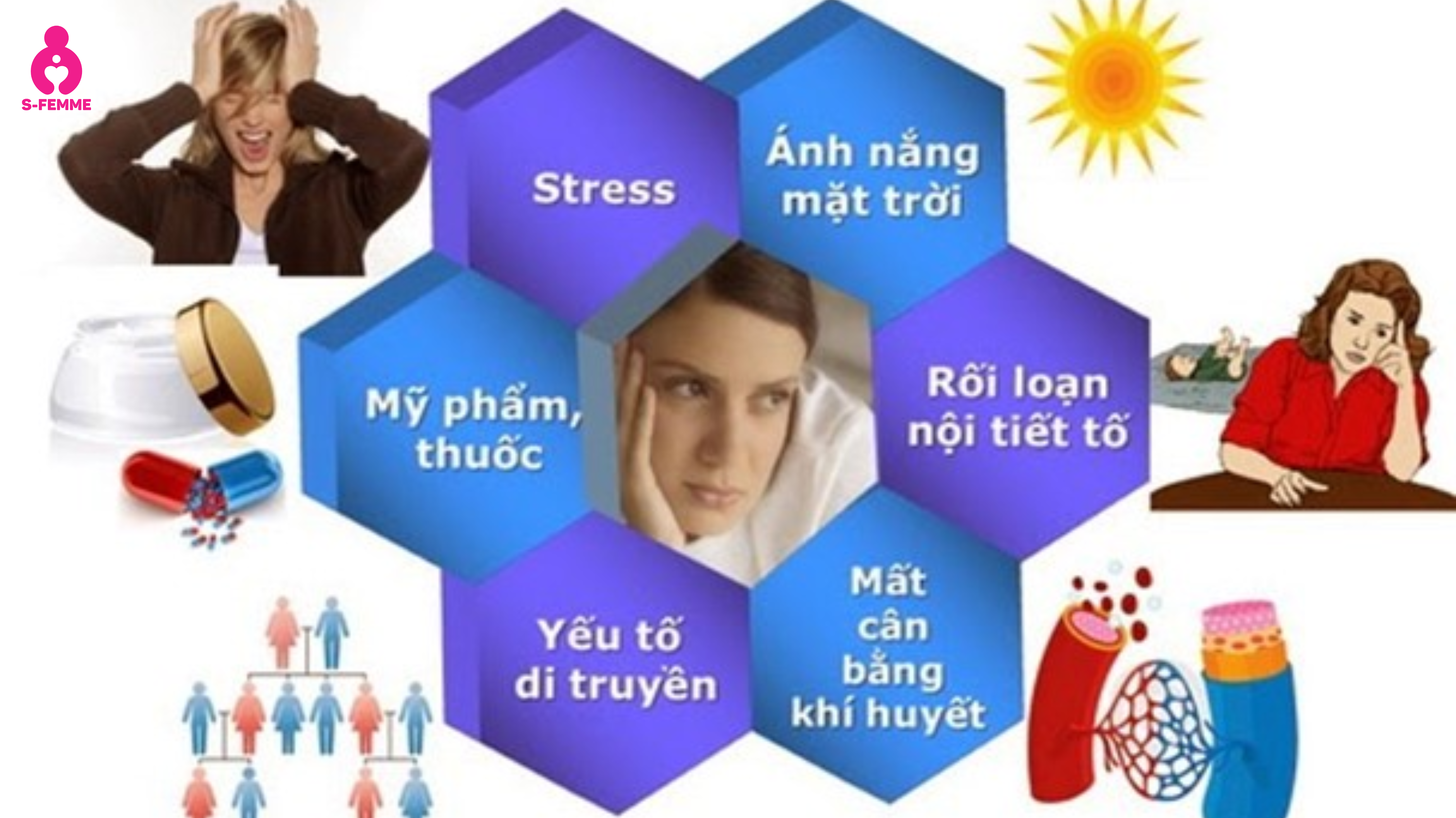 Nguyên nhân khiến nội tiết tố nữ giảm