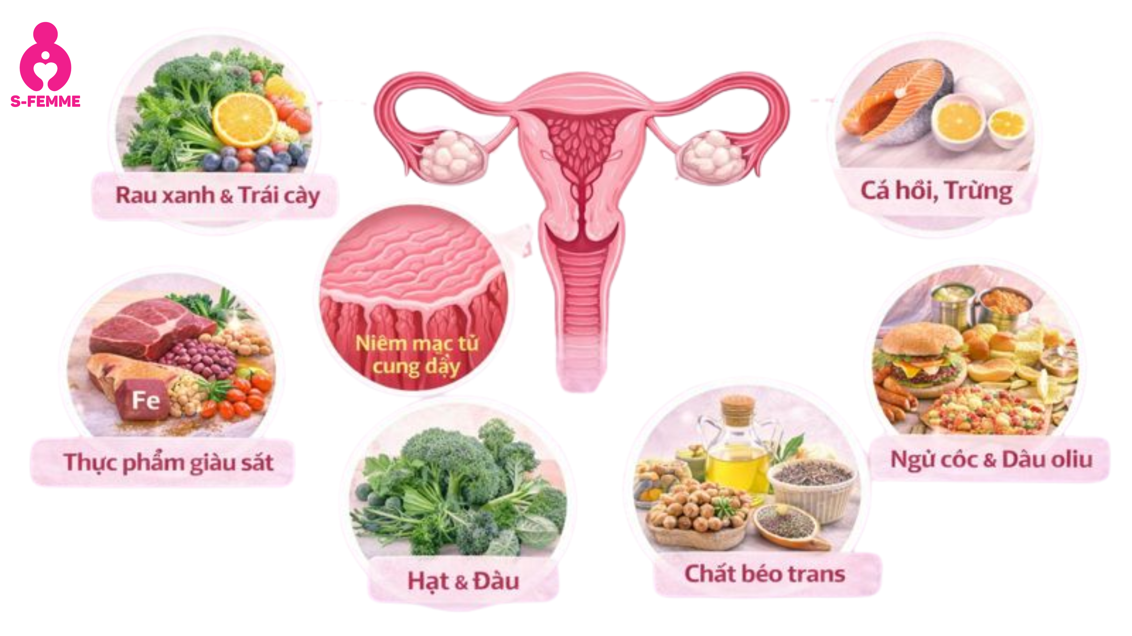Niêm mạc tử cung dày nên ăn gì_ 1
